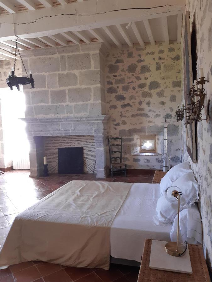 Château de Cauderoue Nérac Extérieur photo