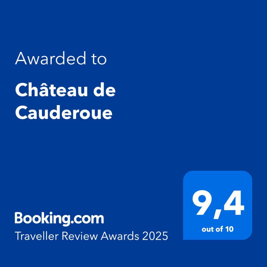 Château de Cauderoue Nérac Extérieur photo